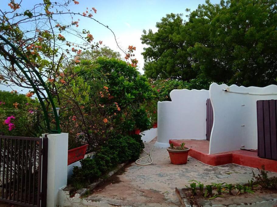 Mamta'S Home- Kensville Nanodra Exterior photo