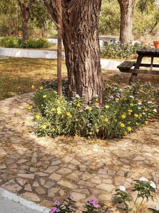 Mamta'S Home- Kensville Nanodra Exterior photo