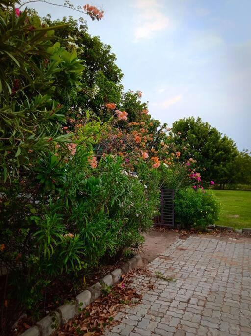 Mamta'S Home- Kensville Nanodra Exterior photo