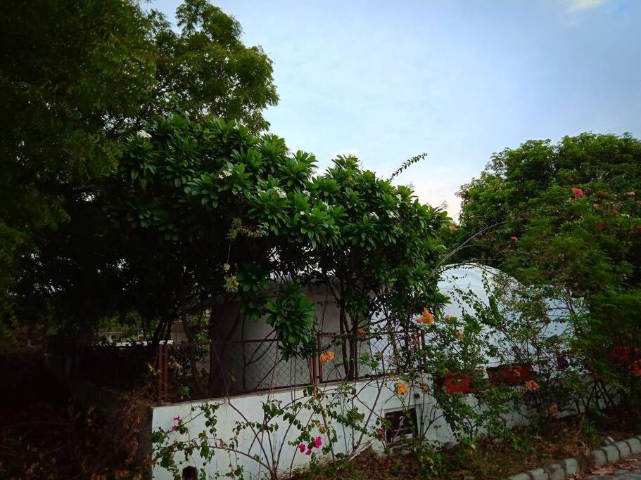 Mamta'S Home- Kensville Nanodra Exterior photo