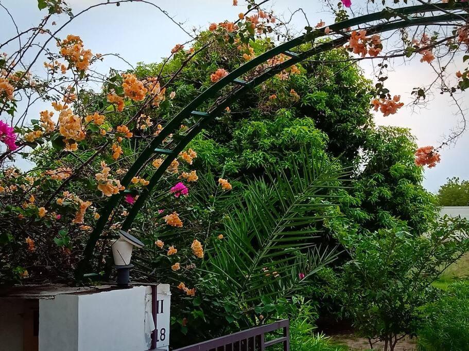 Mamta'S Home- Kensville Nanodra Exterior photo