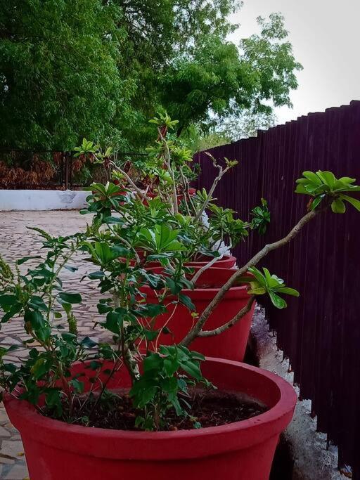 Mamta'S Home- Kensville Nanodra Exterior photo