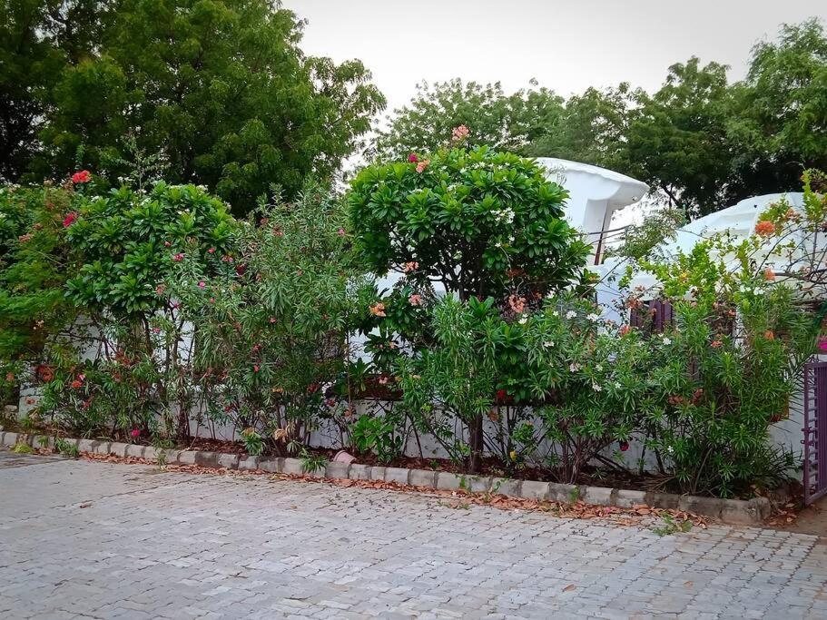Mamta'S Home- Kensville Nanodra Exterior photo